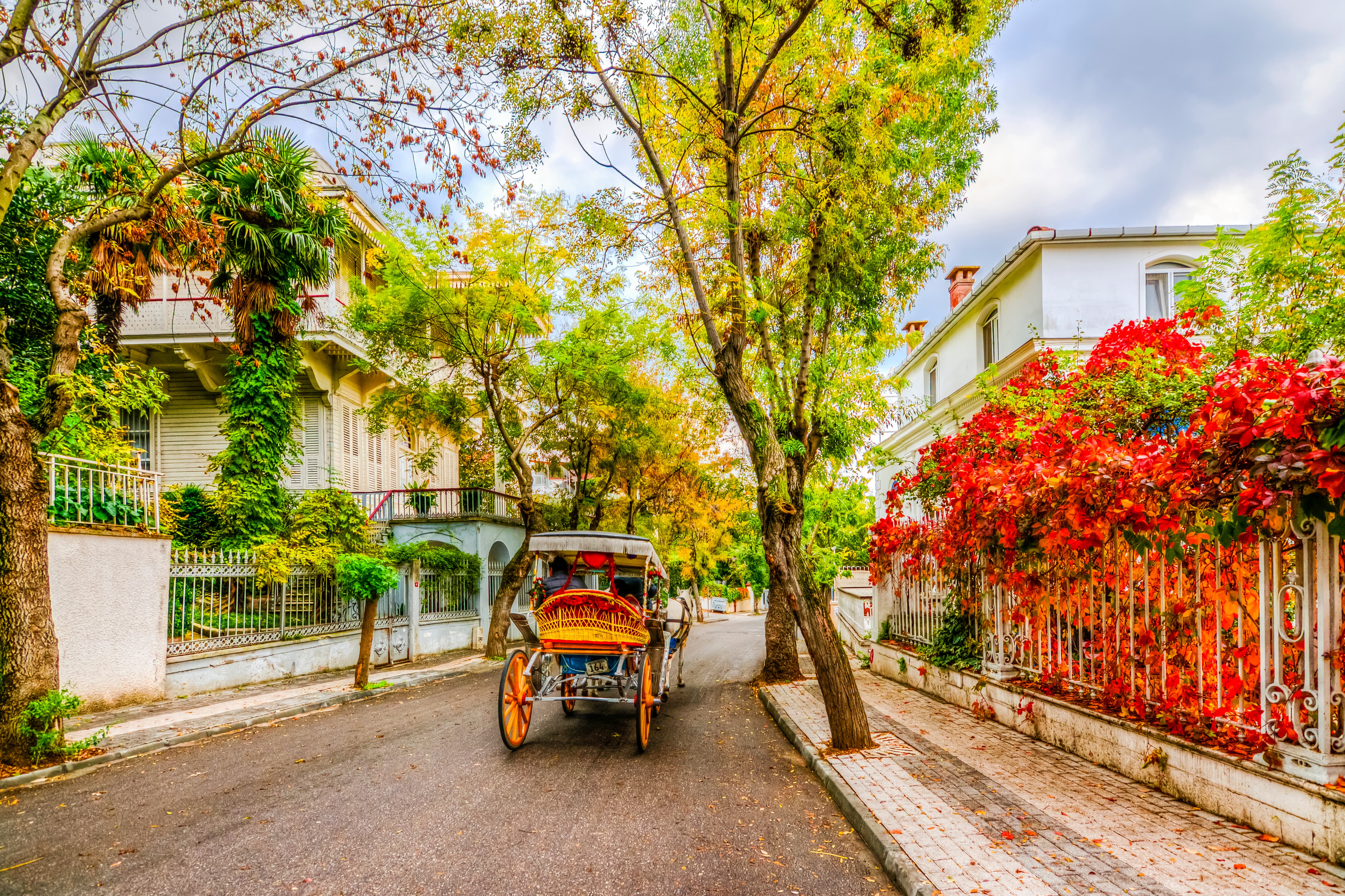 زیبایی-بیگناه-جزایر-شاهزاده-kinaliada